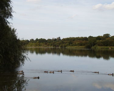 Hatfield Forest