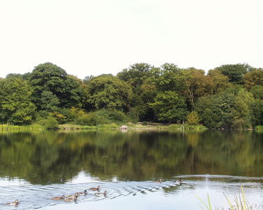 Hatfield Forest