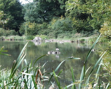 Hatfield Forest
