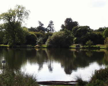 View across the lake