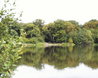 Hatfield Forest