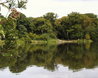 Hatfield Forest