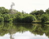 Hatfield Forest