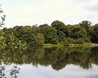 Hatfield Forest