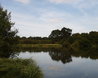 Hatfield Forest