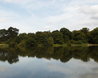 Hatfield Forest