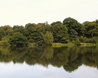 Hatfield Forest