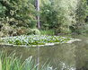 Hatfield Forest