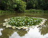 Hatfield Forest