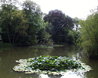 Hatfield Forest