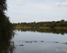 Hatfield Forest