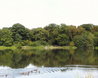 Hatfield Forest