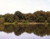Hatfield Forest