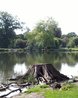 Hatfield Forest