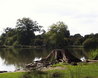 Hatfield Forest