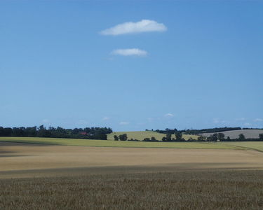 Countryside