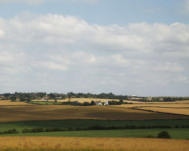 Windmill in the distance