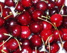 Cherries