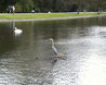 St. Albans