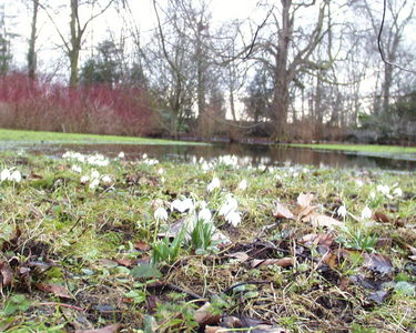 Gardens