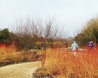 Winter Walk