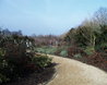 Winter Walk