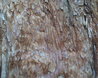 Bark
