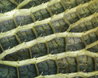 Underside of a pad