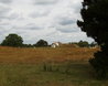 Sutton Hoo