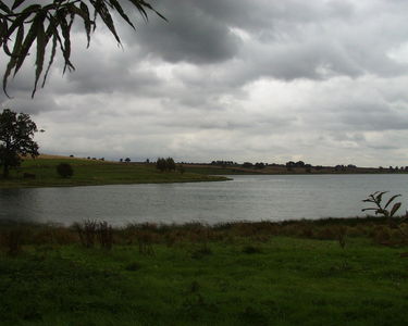 Pitsford Reservoir