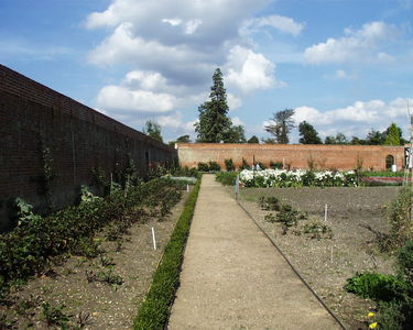 Walled Garden