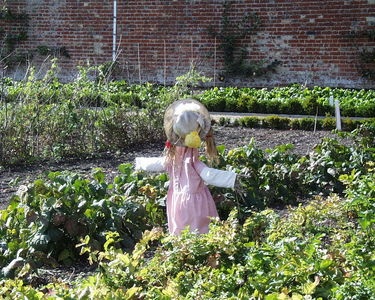 Walled Garden