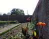 Walled garden