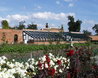 Walled Garden