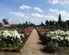 Walled Garden