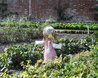 Walled Garden