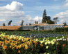 Walled Garden
