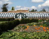 Walled Garden