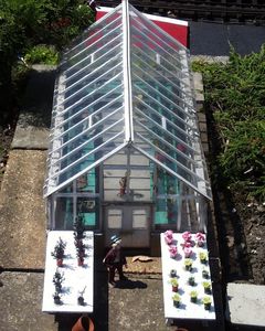Miniature Greenhouse