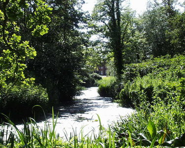 Fairhaven Water Garden