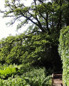 Fairhaven Water Garden