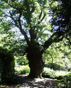 Fairhaven Water Garden