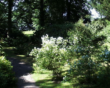 Fairhaven Water Garden