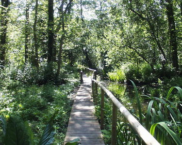 Fairhaven Water Garden