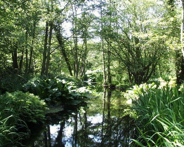 Fairhaven Water Garden