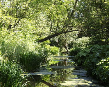 Fairhaven Water Garden