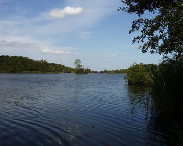 Fairhaven Water Garden