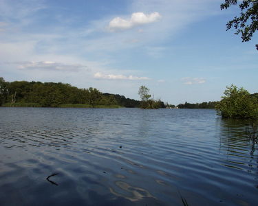 Fairhaven Water Garden