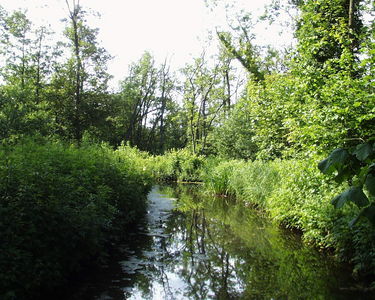 Fairhaven Water Garden