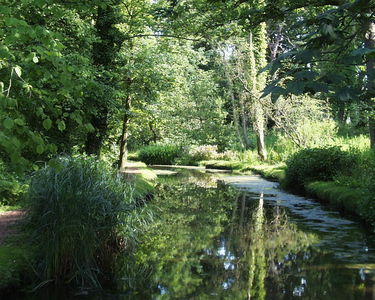 Fairhaven Water Garden